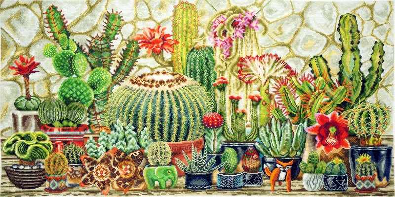 Cacti